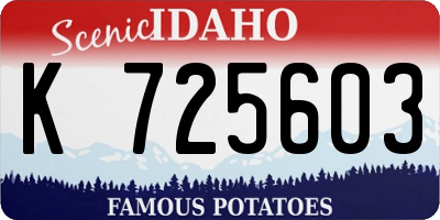 ID license plate K725603