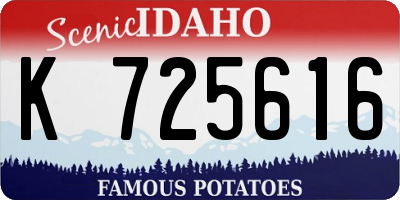 ID license plate K725616