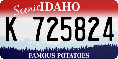 ID license plate K725824