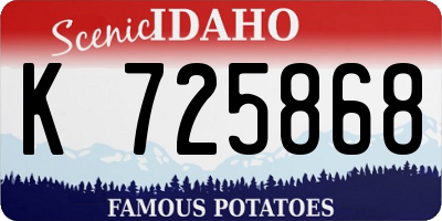 ID license plate K725868