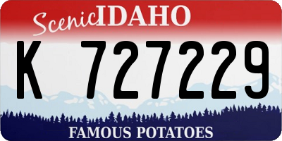 ID license plate K727229