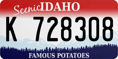 ID license plate K728308