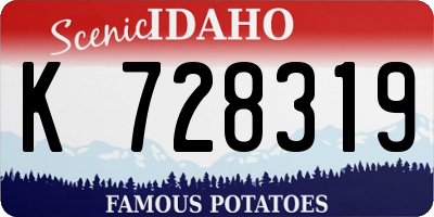 ID license plate K728319
