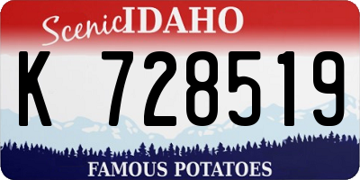 ID license plate K728519