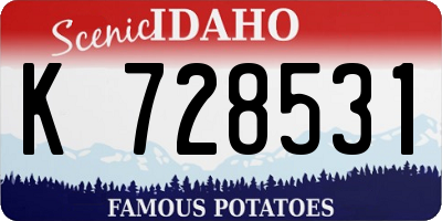 ID license plate K728531
