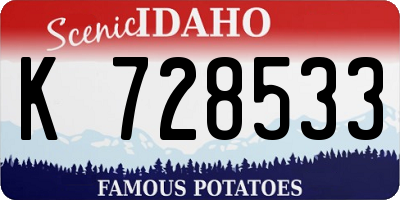 ID license plate K728533