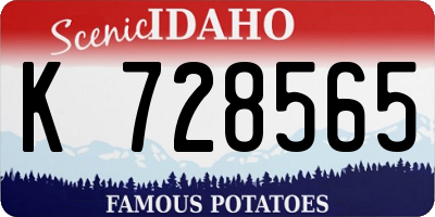 ID license plate K728565