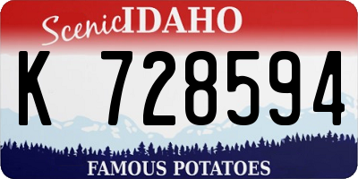 ID license plate K728594
