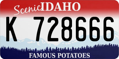 ID license plate K728666