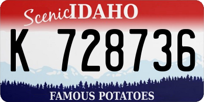ID license plate K728736