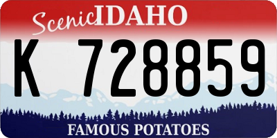 ID license plate K728859