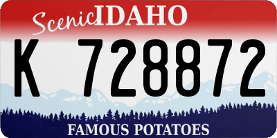 ID license plate K728872