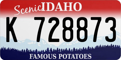 ID license plate K728873