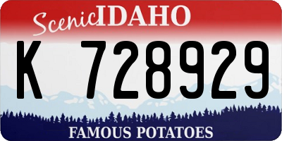ID license plate K728929