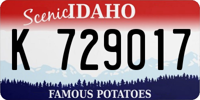 ID license plate K729017