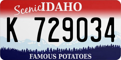 ID license plate K729034