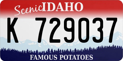 ID license plate K729037