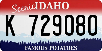 ID license plate K729080