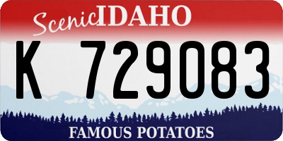 ID license plate K729083