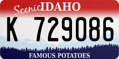 ID license plate K729086