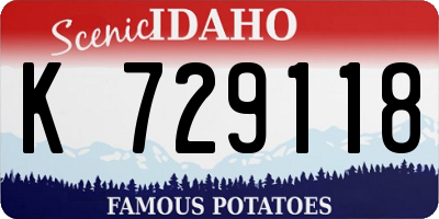 ID license plate K729118