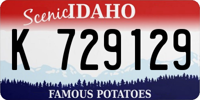 ID license plate K729129