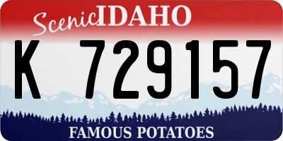 ID license plate K729157