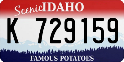 ID license plate K729159