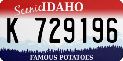 ID license plate K729196