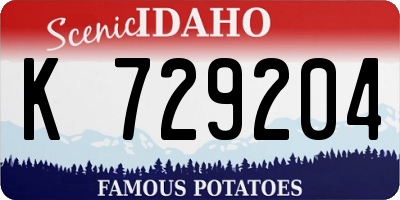 ID license plate K729204