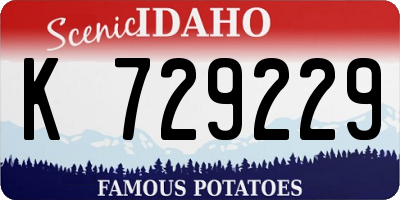 ID license plate K729229
