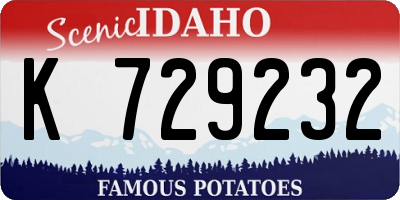 ID license plate K729232