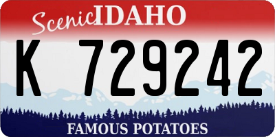 ID license plate K729242
