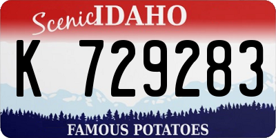 ID license plate K729283