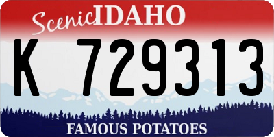 ID license plate K729313
