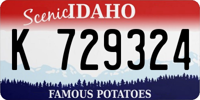 ID license plate K729324