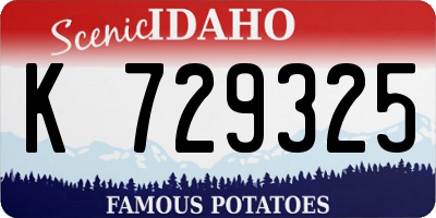 ID license plate K729325