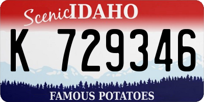 ID license plate K729346