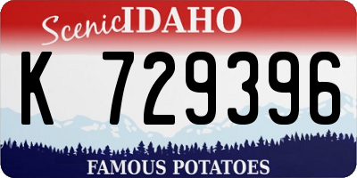 ID license plate K729396