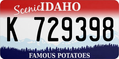 ID license plate K729398