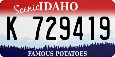 ID license plate K729419