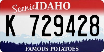 ID license plate K729428