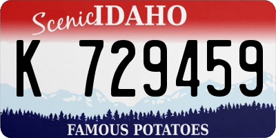 ID license plate K729459