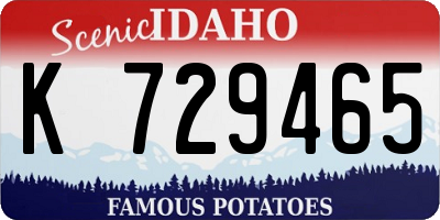 ID license plate K729465