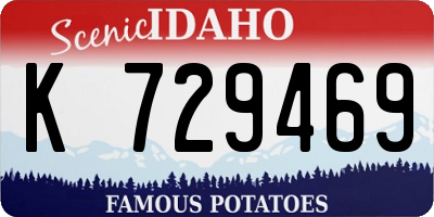 ID license plate K729469
