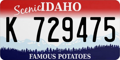 ID license plate K729475