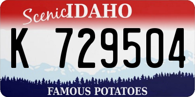 ID license plate K729504