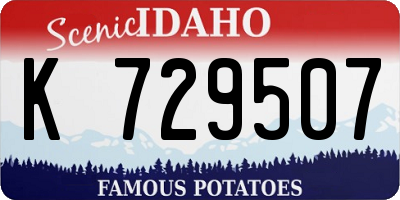 ID license plate K729507