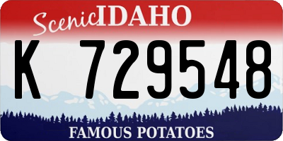 ID license plate K729548