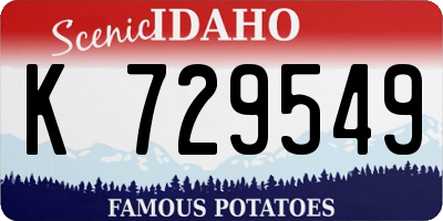 ID license plate K729549